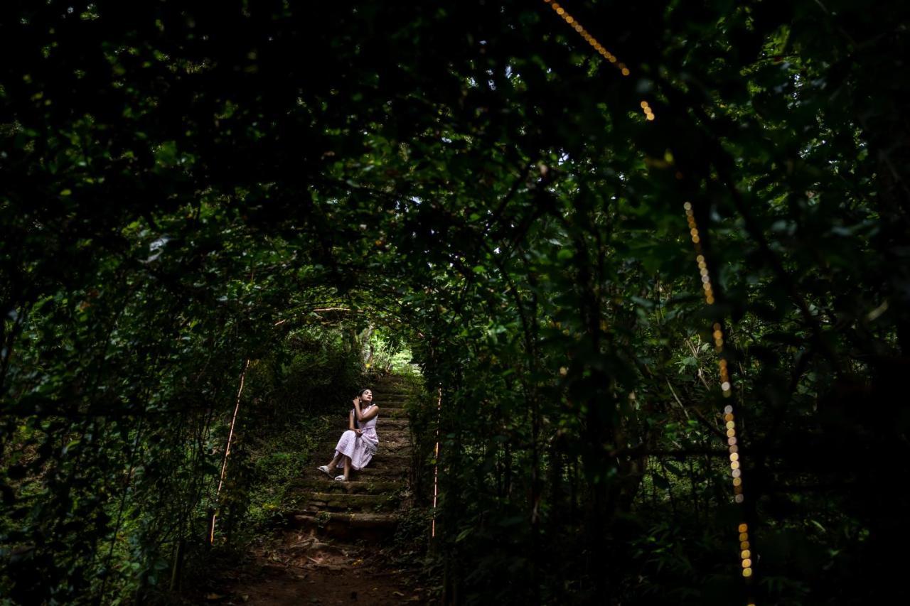 Raindrops Resorts Wayanad Sultan Bathery Bagian luar foto