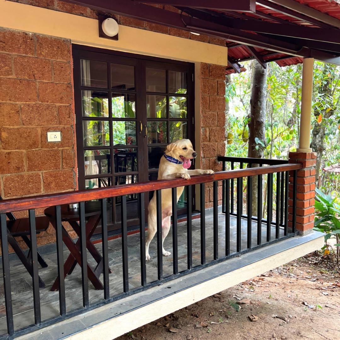Raindrops Resorts Wayanad Sultan Bathery Bagian luar foto