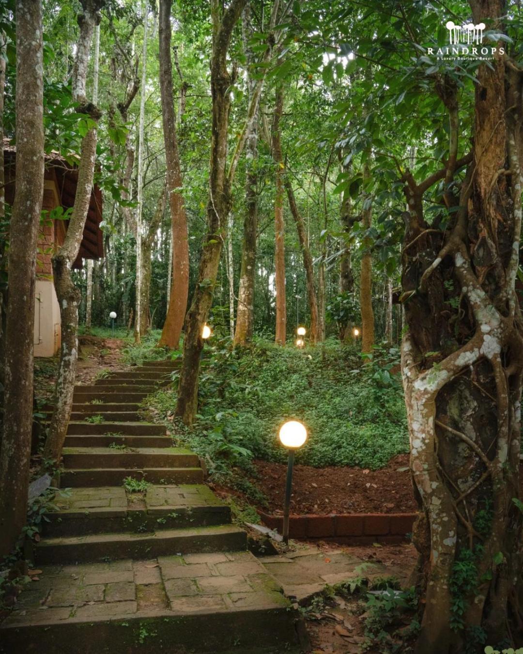 Raindrops Resorts Wayanad Sultan Bathery Bagian luar foto