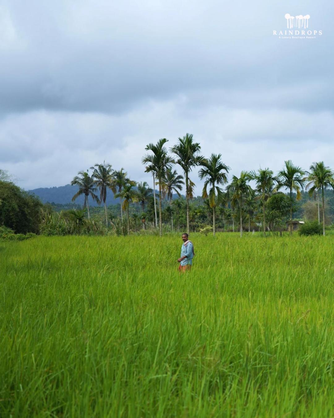 Raindrops Resorts Wayanad Sultan Bathery Bagian luar foto