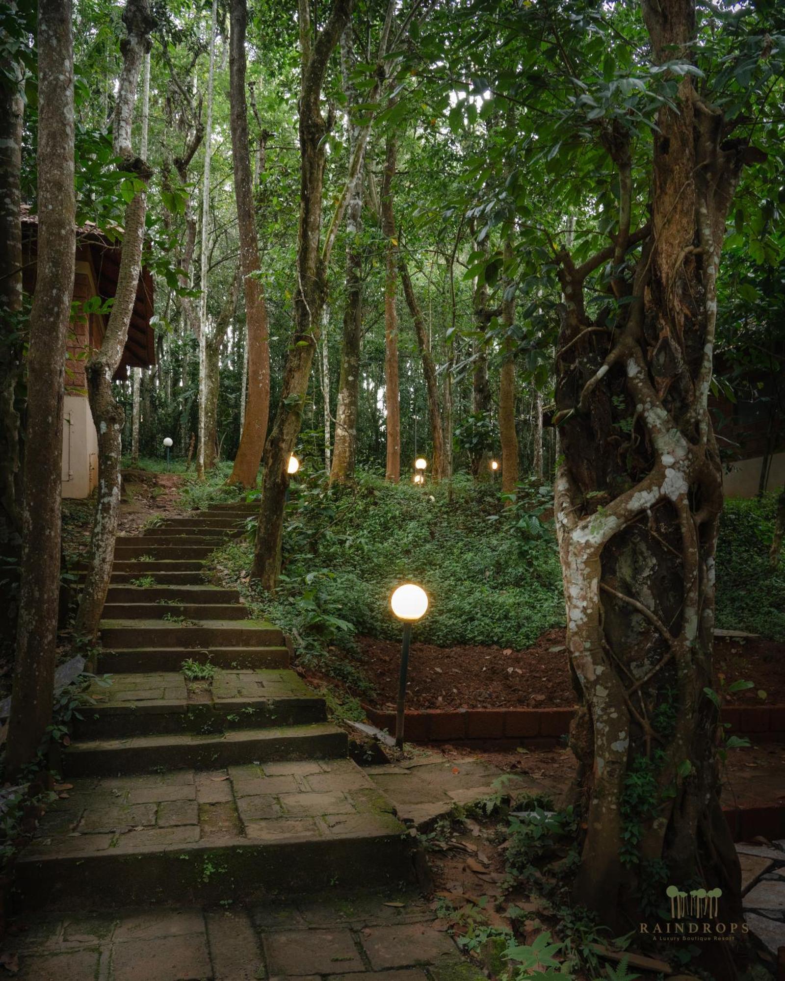 Raindrops Resorts Wayanad Sultan Bathery Bagian luar foto