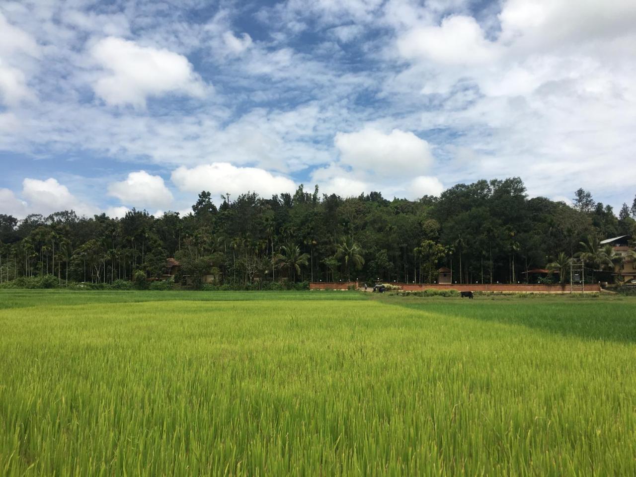 Raindrops Resorts Wayanad Sultan Bathery Bagian luar foto